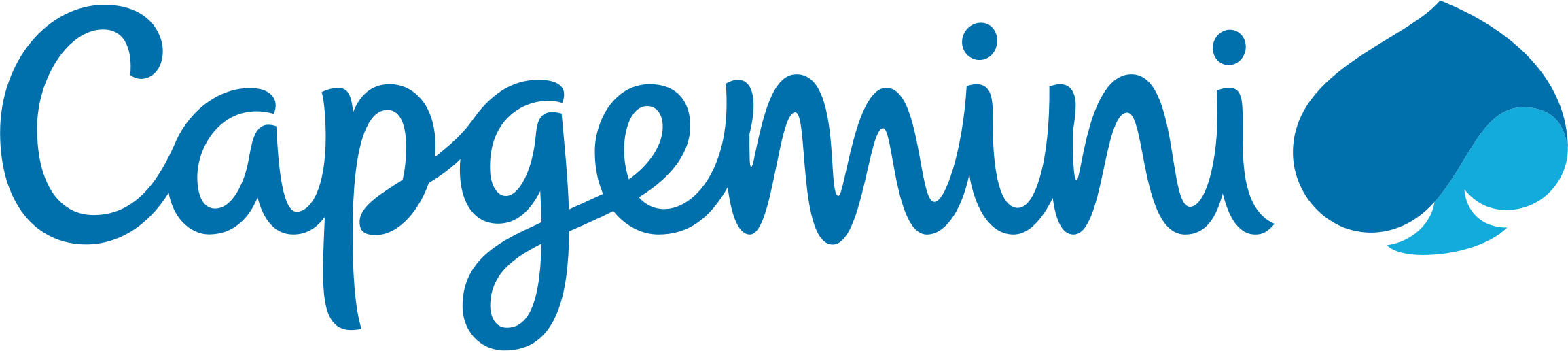 Capgemini Partner
