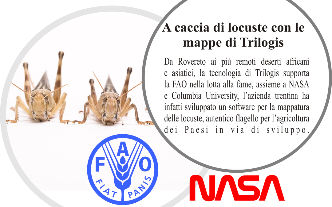 Trilogis, NASA e FAO assieme contro la piaga delle locuste