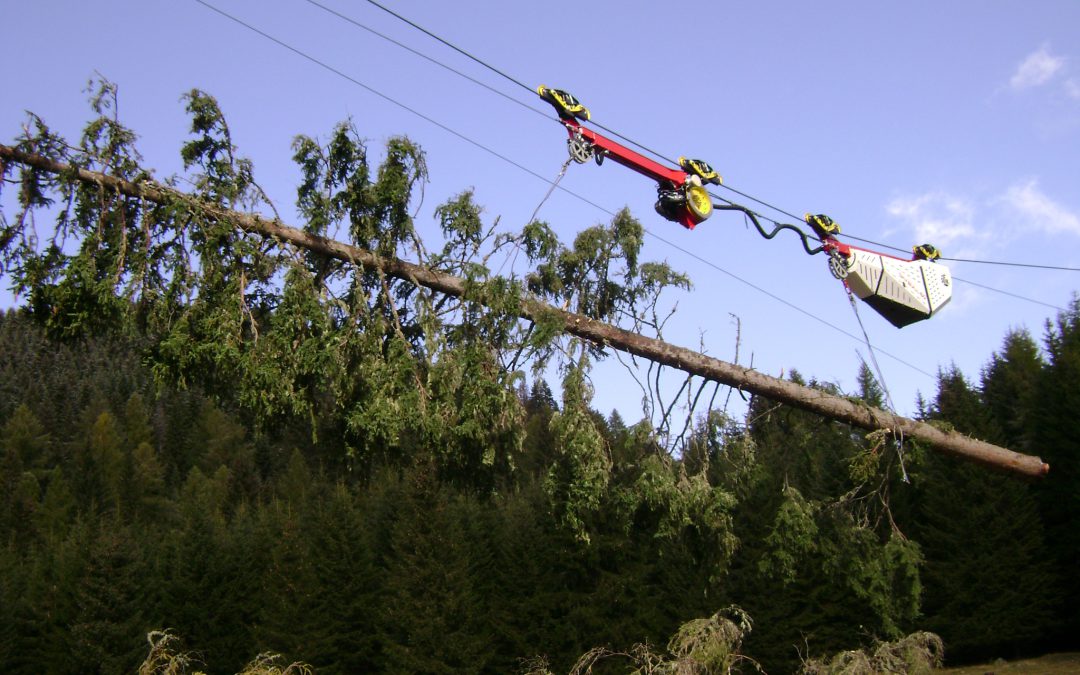 Dalla “Smart City” alla “Smart Forest”: in Trentino si pensa alle foreste intelligenti